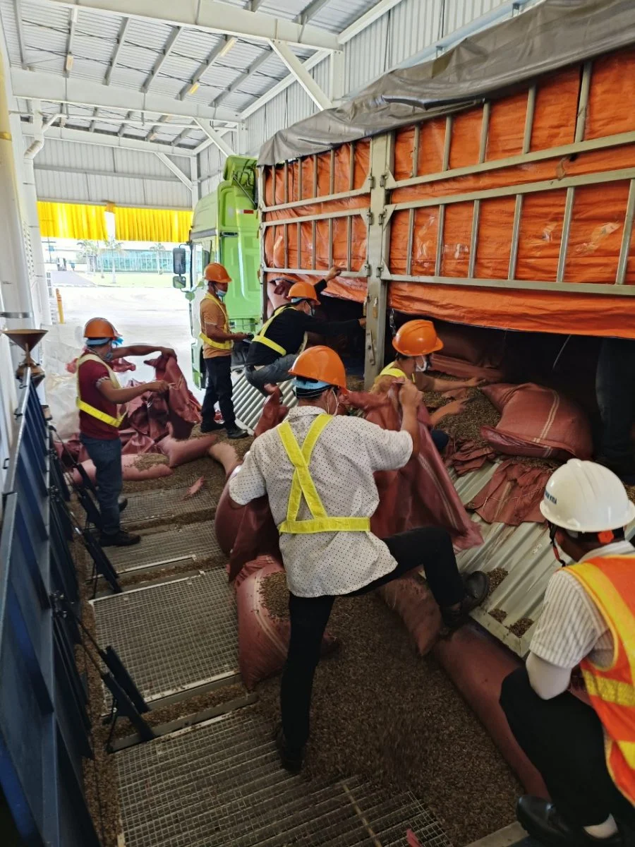 Bốc xếp container